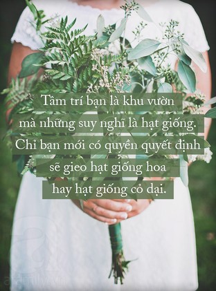 Tâm trí là một khu vườn
