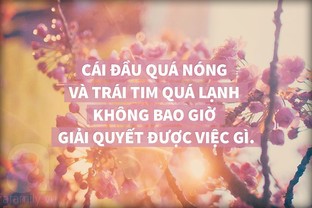Một cái đầu nóng và một trái tim lạnh