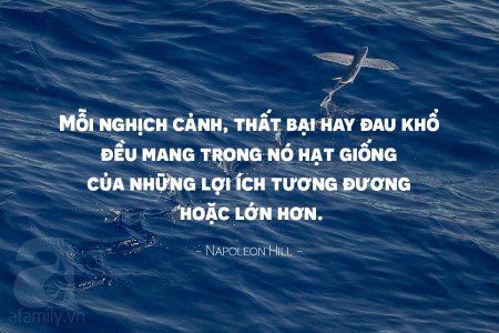 Đừng nản trước nghịch cảnh cuộc sống