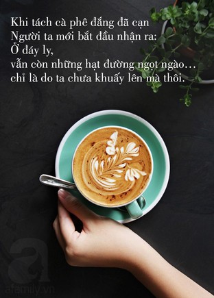 Tận cùng cay đắng, vẫn có dư vị ngọt ngào