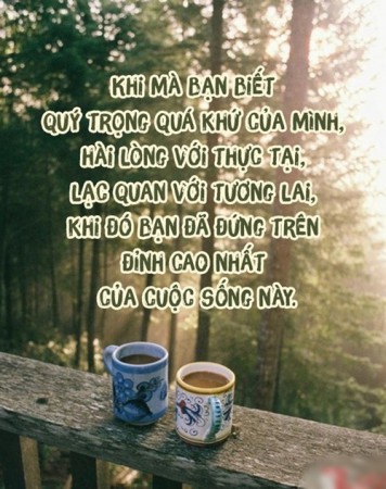 đỉnh cao của cuộc sống này